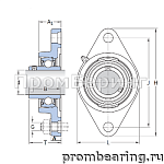 UCFL 204